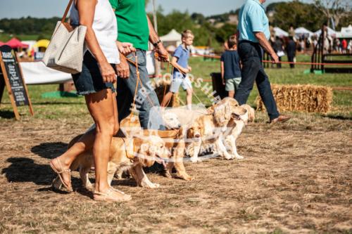 herefordshire_countryside_fair_lowRes-31